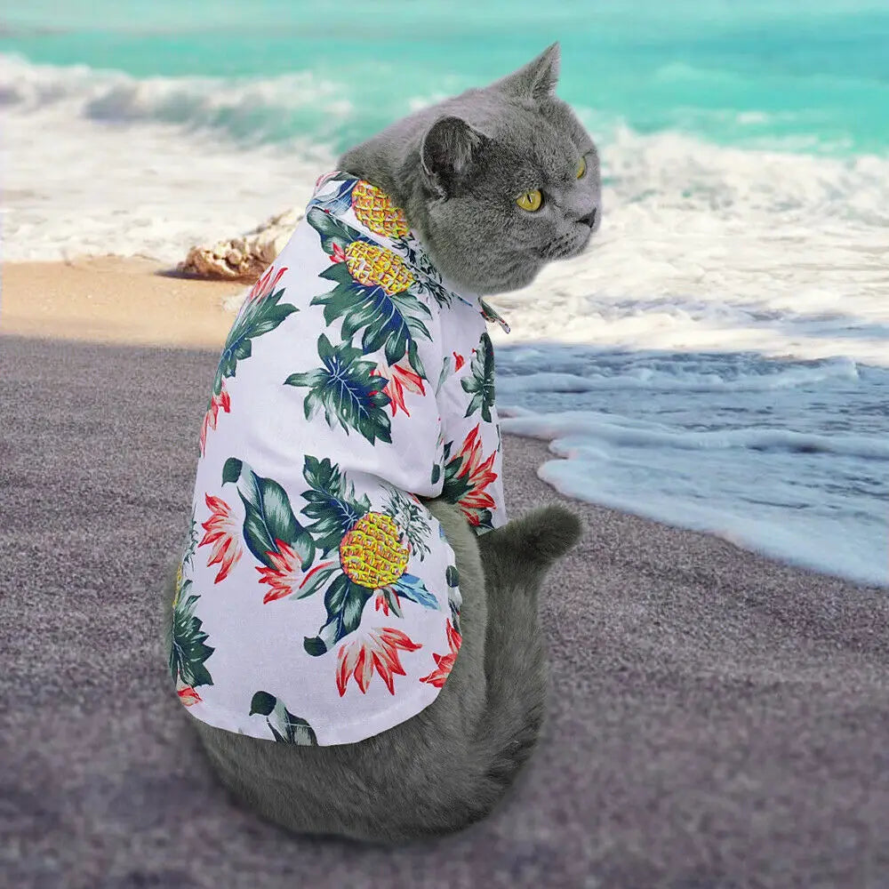 Lightweight, beach-themed vest for puppies, Chihuahuas, Pugs & more.