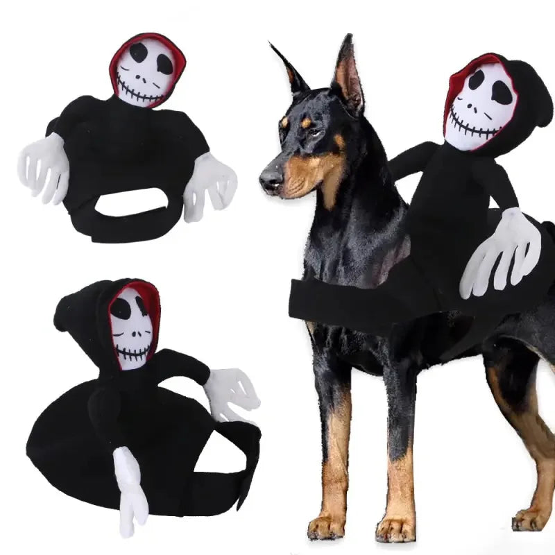 Halloween Pirate Costume for Cats & Dogs – Funny Pet Cosplay with Dagger