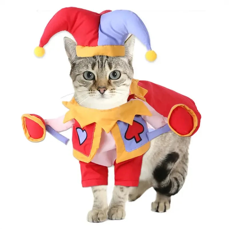 Halloween Pirate Costume for Cats & Dogs – Funny Pet Cosplay with Dagger