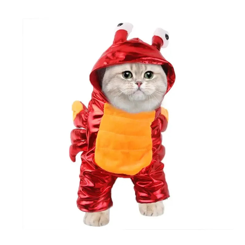 Halloween Pirate Costume for Cats & Dogs – Funny Pet Cosplay with Dagger
