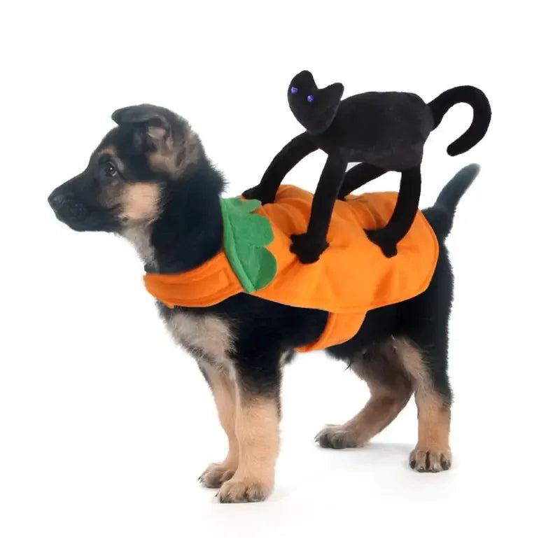 Halloween Pirate Costume for Cats & Dogs – Funny Pet Cosplay with Dagger
