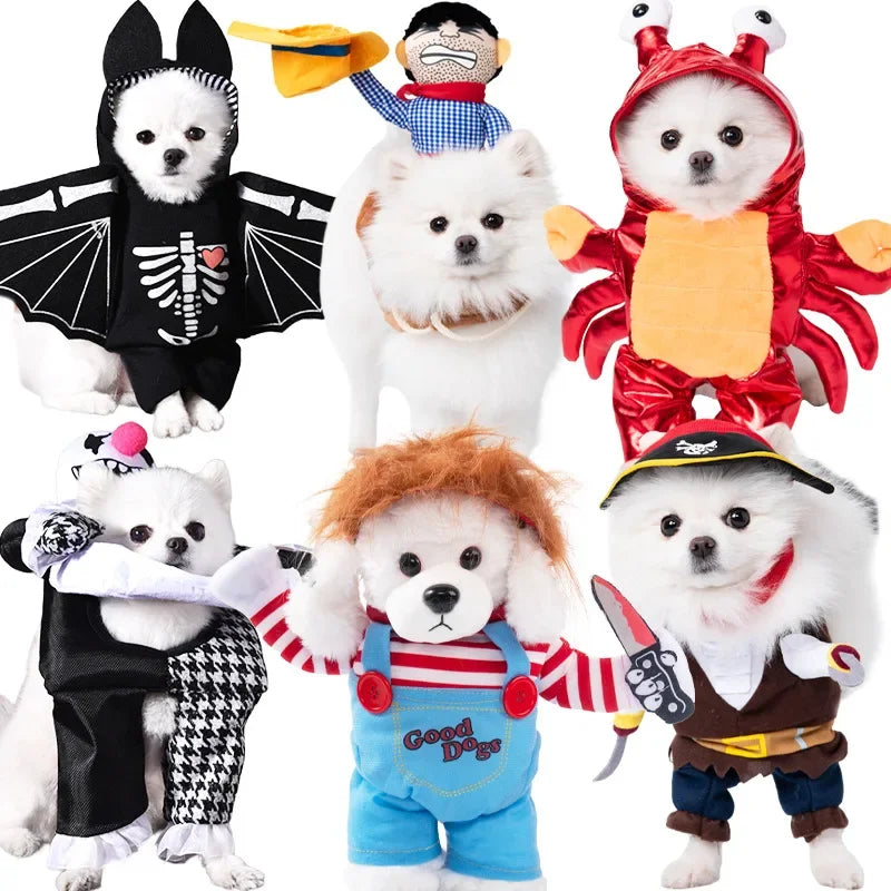 Halloween Pirate Costume for Cats & Dogs – Funny Pet Cosplay with Dagger